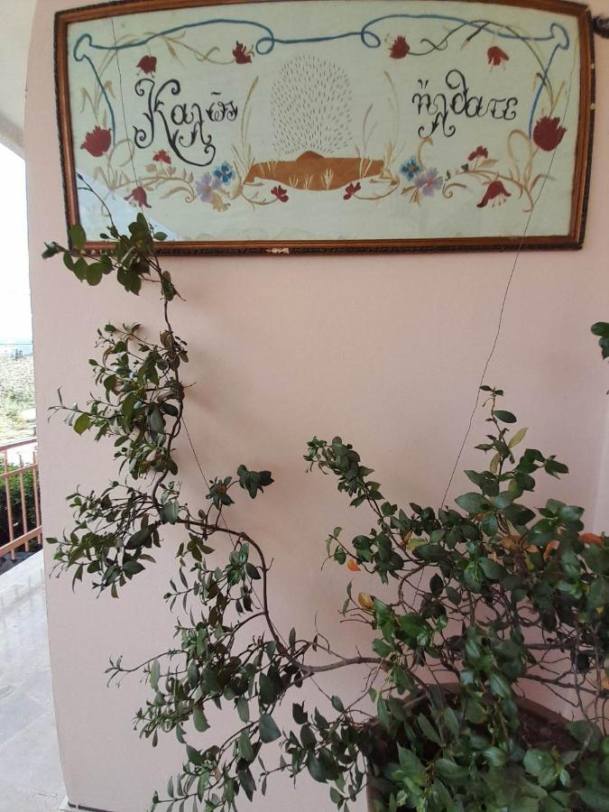 Georgia's Holiday home